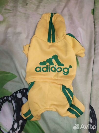 Костюм для собачки