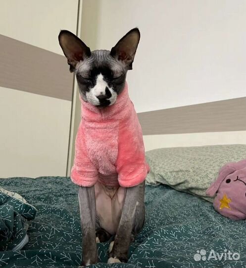 Кофта для собаки или кошки