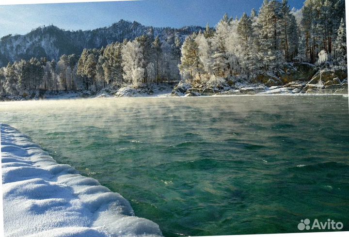 На Алтай зимой путевка экспедиции до 7 дн