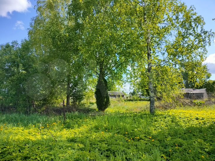 Участок 26 сот. (ИЖС)