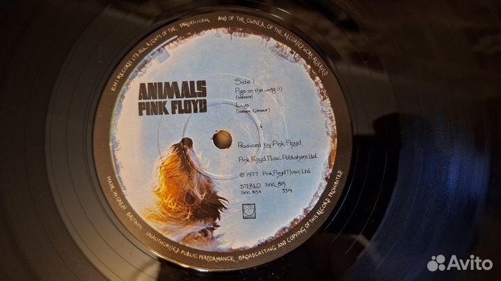 Pink Floyd – Animals,1977,Stereo, Orlake Pressing