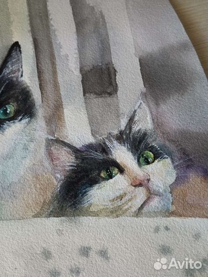 Акварель Покормите котика