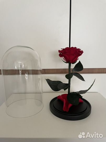 Вечная роза в колбе