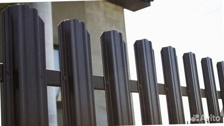 Евроштакетник (мп Lane)