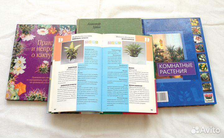 Книги о Комнатных растениях