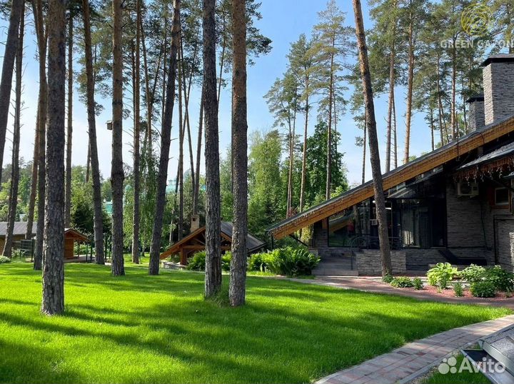 Рулонный газон в наличии