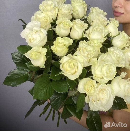 Розы эквадор