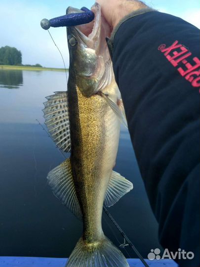 Платная рыбалка