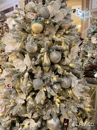 Билеты нв слон и балкрина