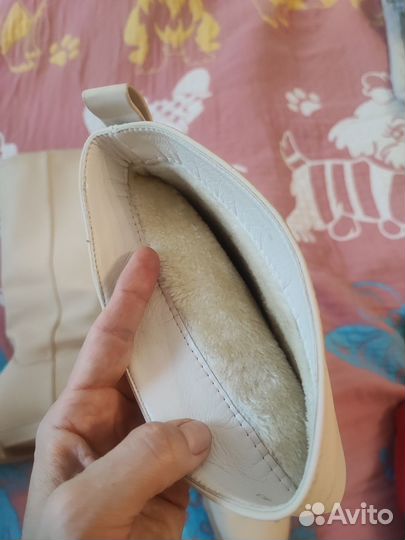 Сапоги женские демисезонные