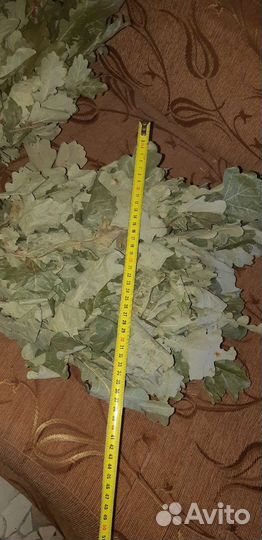 Веники дуб береза