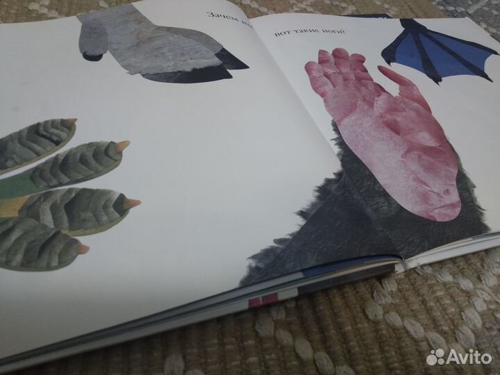 Книги о животных: Зверажуры. Про хвосты носы и уши