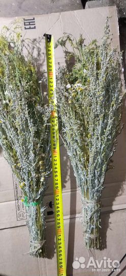 Веники из полыни на травах для бани и сауны