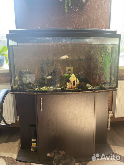 Аквариум с тумбой 250 литров