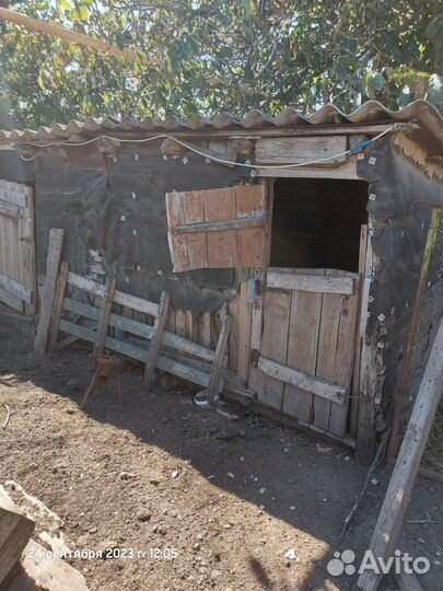 Доски на дрова бесплатно