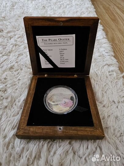 Жемчужина серая - Пинктада маргаритифера