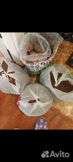 Кедровый орех