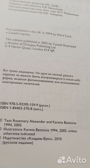 Дизайн сада профессиональный подход