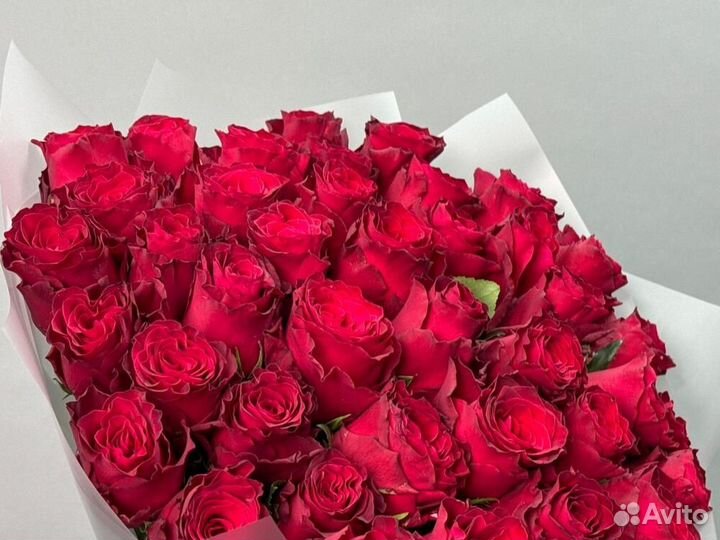 Цветы Розы 21 шт I 51 шт I 101 шт