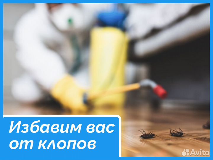 Дезинфекция. Уничтожение тараканов,клопов,грызунов