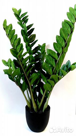 Замиокулькас искусственный цветок