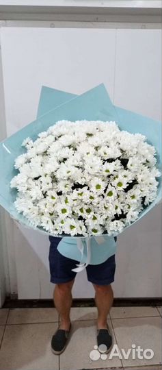 Доставка цветов сочи букеты розы пионы