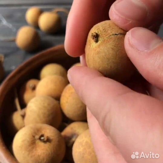 Фрукты под заказ из Таиланда