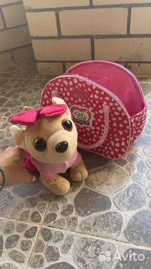 Чичилав (chi-chi love) собачка с сумочкой