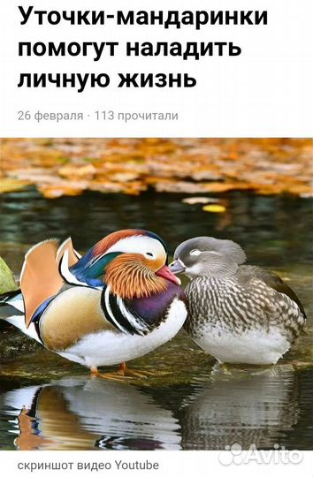 Сувенир 3 уточки для семейного благополучия