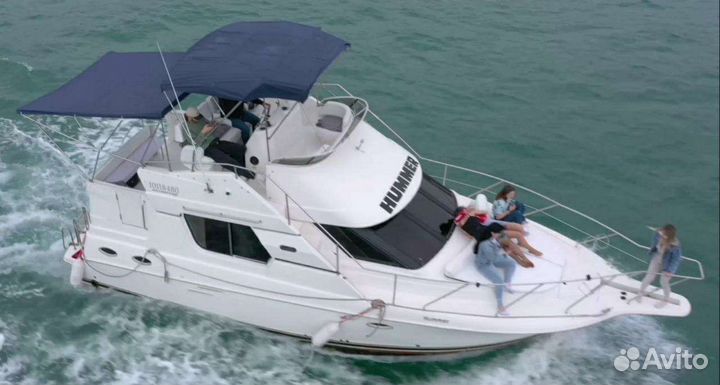 На яхте к дельфинам в Сочи