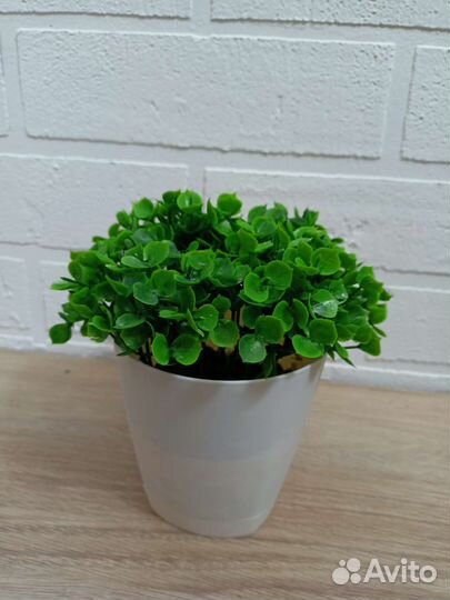 Фикус Бенджамина и другая искусственная зелень