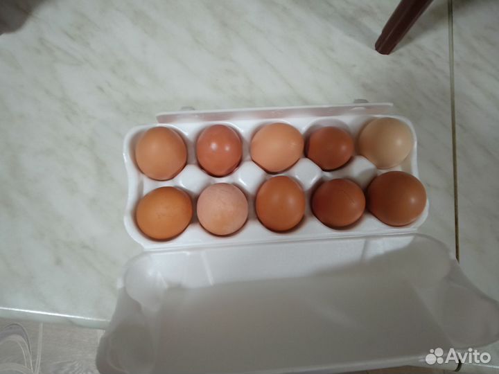 Домашние куриные яйца