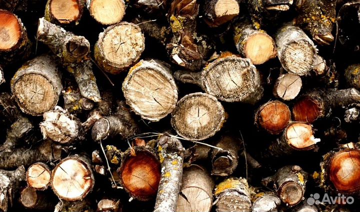 Дрова