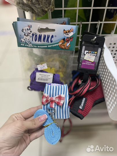 Ошейники и шлейки для собак