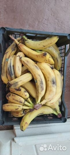 Продукты просрочка