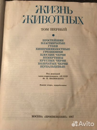 Жизнь животных