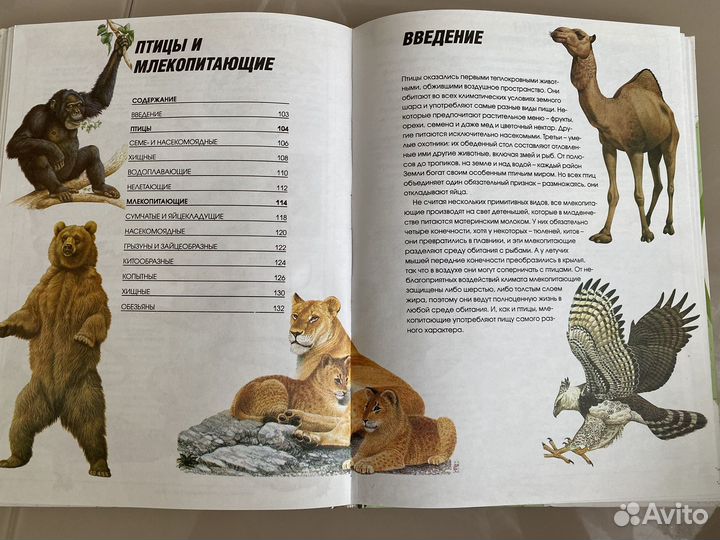 Энциклопедия живой природы