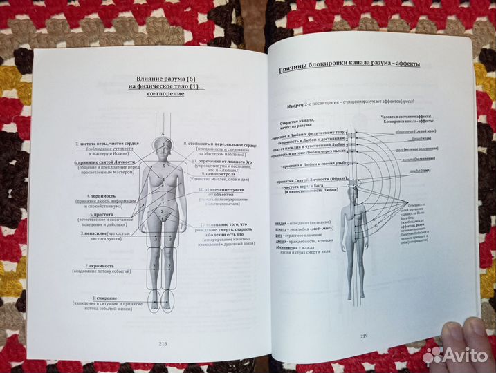 Олег Булаев. Разум