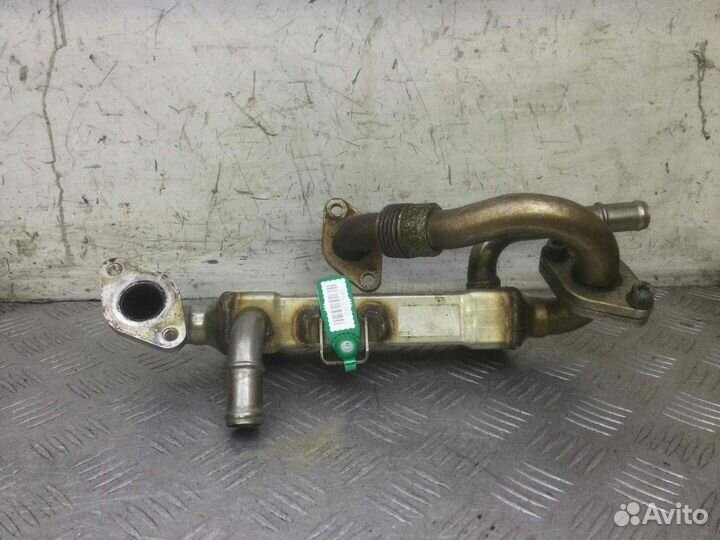 Радиатор EGR Volkswagen Sharan 038131513l Auy