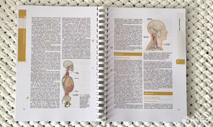 Книги из серии Анатомические поезда