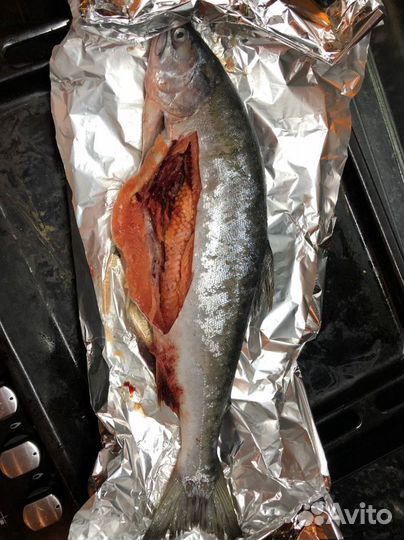 Горбуша неразделанная июнь 23г