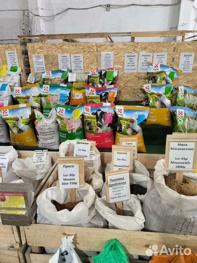 Комбикорм для Индейки Пурина