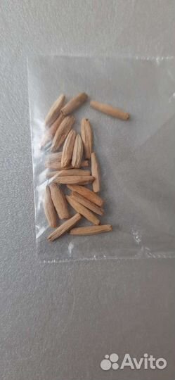 Семена. Адениум Обессум микс