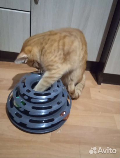 Игрушка для кошек