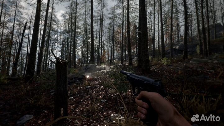 Hell Let Loose (PlayStation, Xbox)