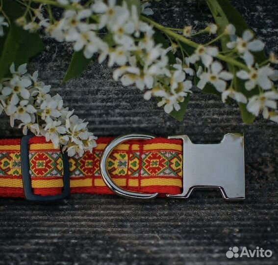 Ошейник для собак