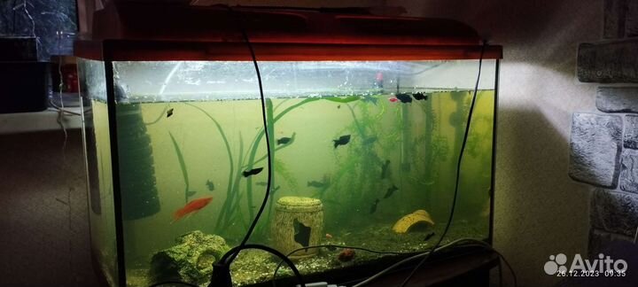 Аквариум с рыбками бу