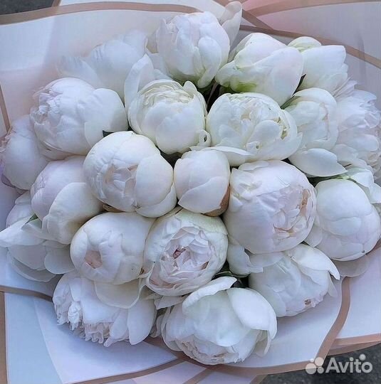 Пионы Букет