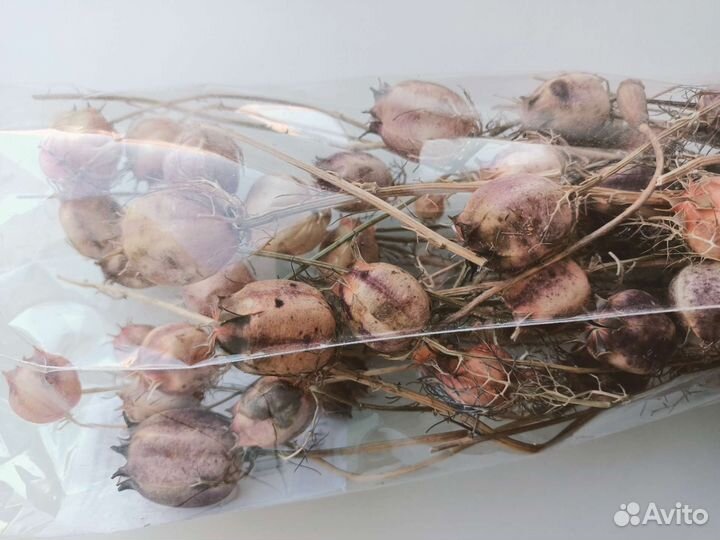 Букет из сухоцветов