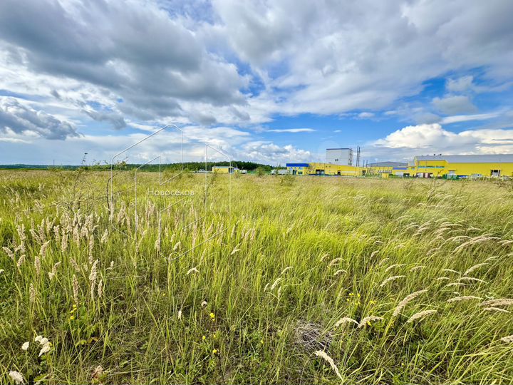 Участок 8 сот. (ИЖС)